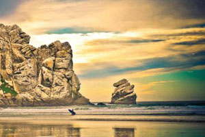 课程管理平台的免费ddos在线攻击