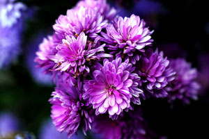 求个安全渠道的ddos攻击